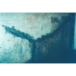 南京百樂(lè)建材 專業(yè)防水工程材料與安徽防水材料的全面解析