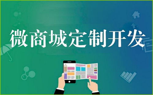 鄭州中原區(qū)商城版小程序的定制開(kāi)發(fā)