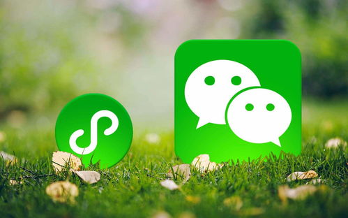 定制開發一套小程序商城要多少錢