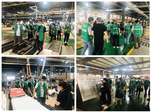 年中盛典，智造未來 619超級(jí)工廠購(gòu)暨財(cái)富品鑒會(huì)圓滿落幕，揭秘購(gòu)物商城定制新篇章