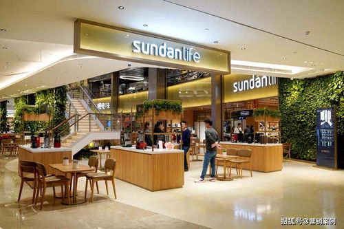 免費(fèi)門店，年入400萬 購(gòu)物商城定制開發(fā)的創(chuàng)新商業(yè)模式啟示